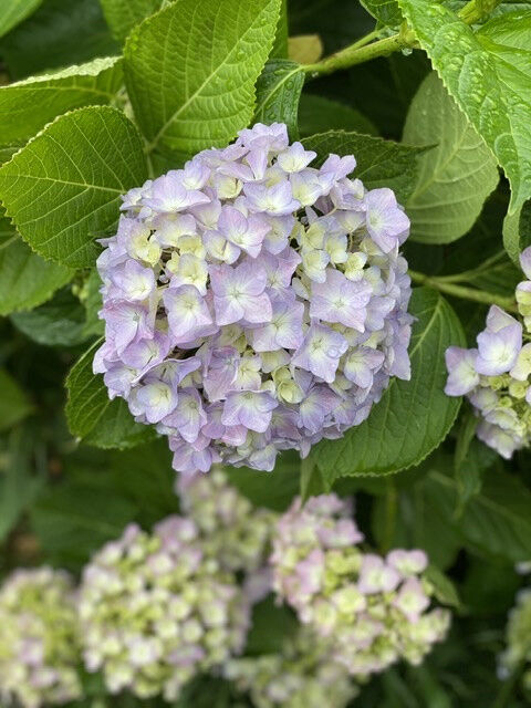 ☆6月のお休み☆