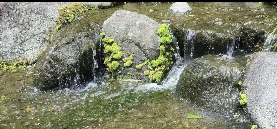 せせらぎ☆