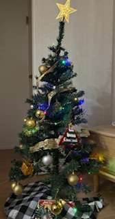 2025Xmas☆